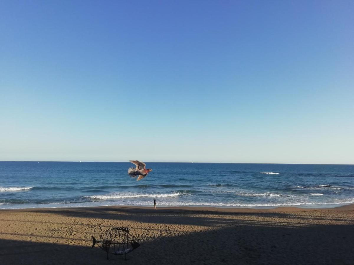 Apartamento-Estudio Benalmadena Maite-3 Eksteriør bilde